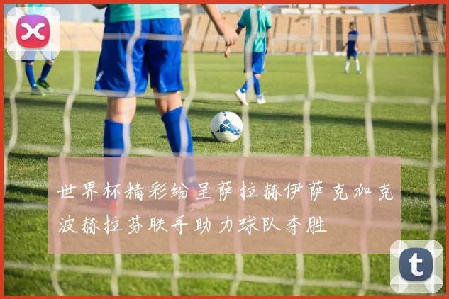世界杯精彩纷呈萨拉赫伊萨克加克波赫拉芬联手助力球队夺胜